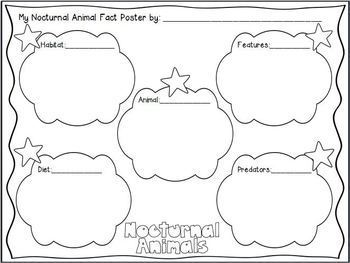 Nocturnal Animals | Word List Builder