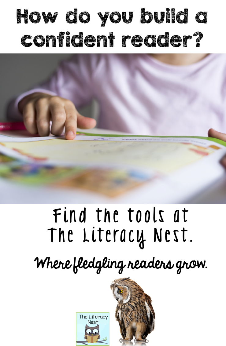 https://www.teacherspayteachers.com/Store/Emily-Gibbons-The-Literacy-Nest