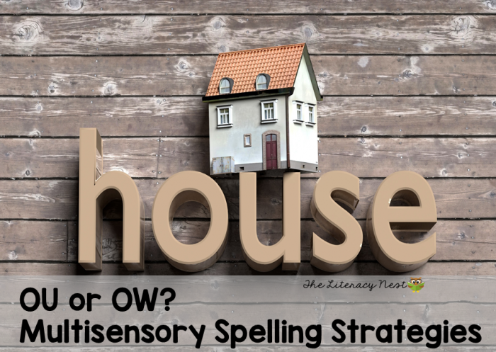 OU or OW spelling strategies 