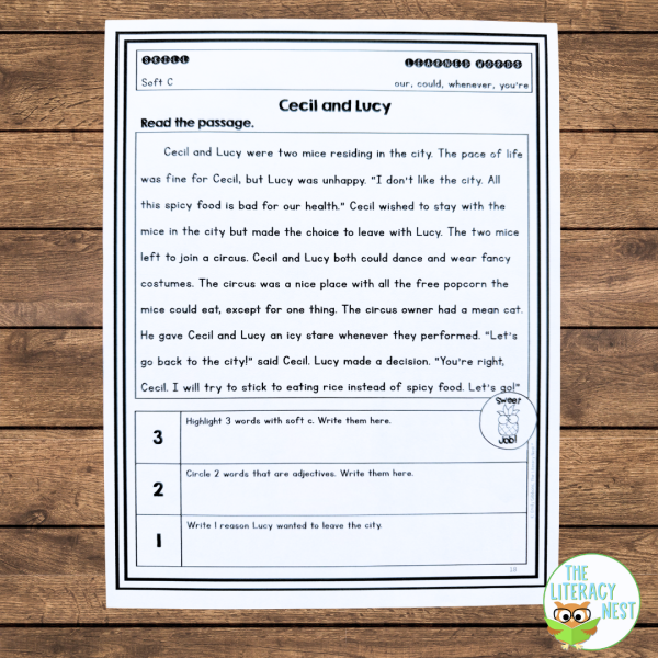 Level 3 Decodable Passages for Orton-Gillingham Lessons - Image 4