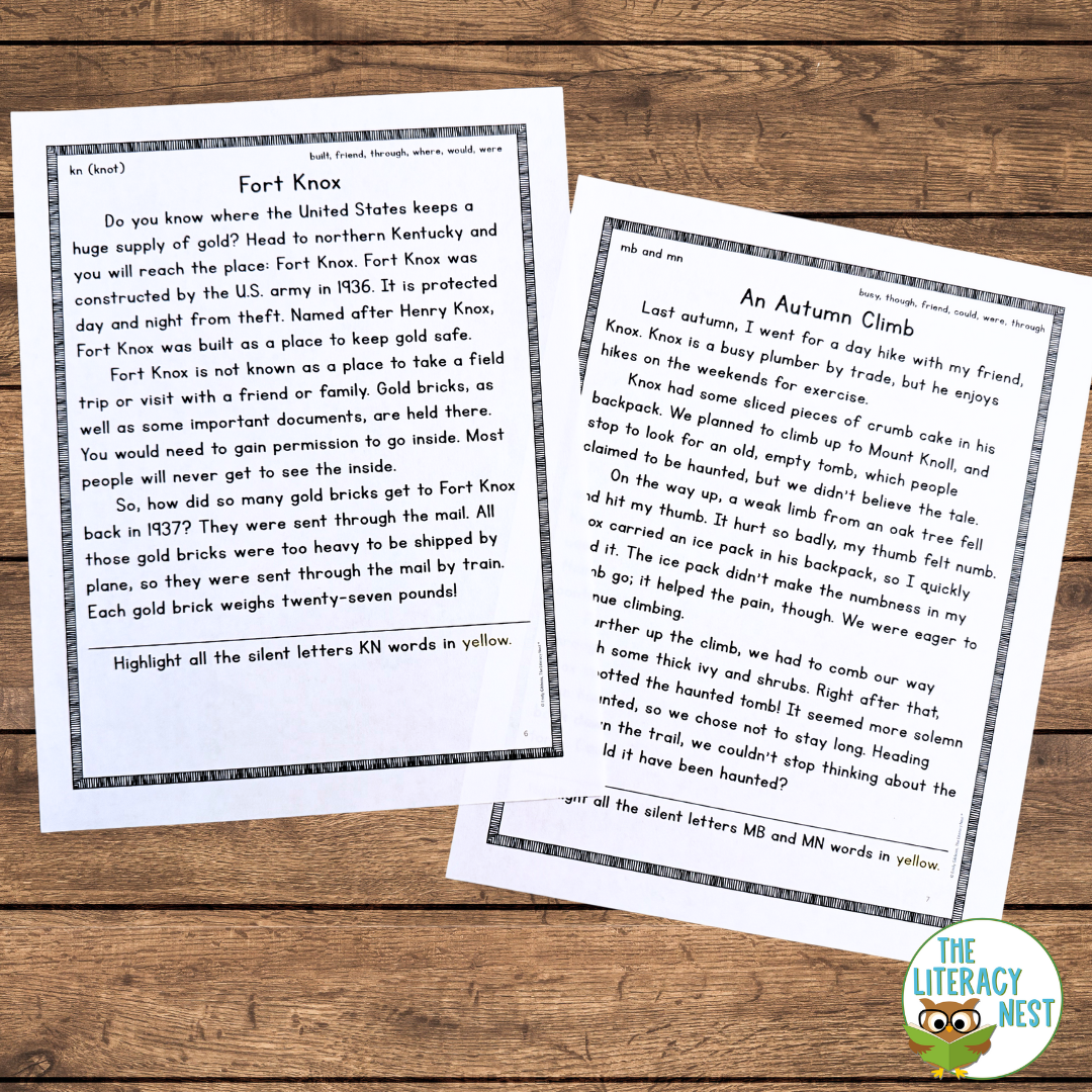 Decodable Passages for Orton-Gillingham Lessons BUNDLE - Image 3
