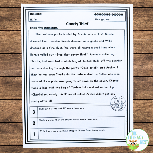 Level 3 Decodable Passages for Orton-Gillingham Lessons - Image 3