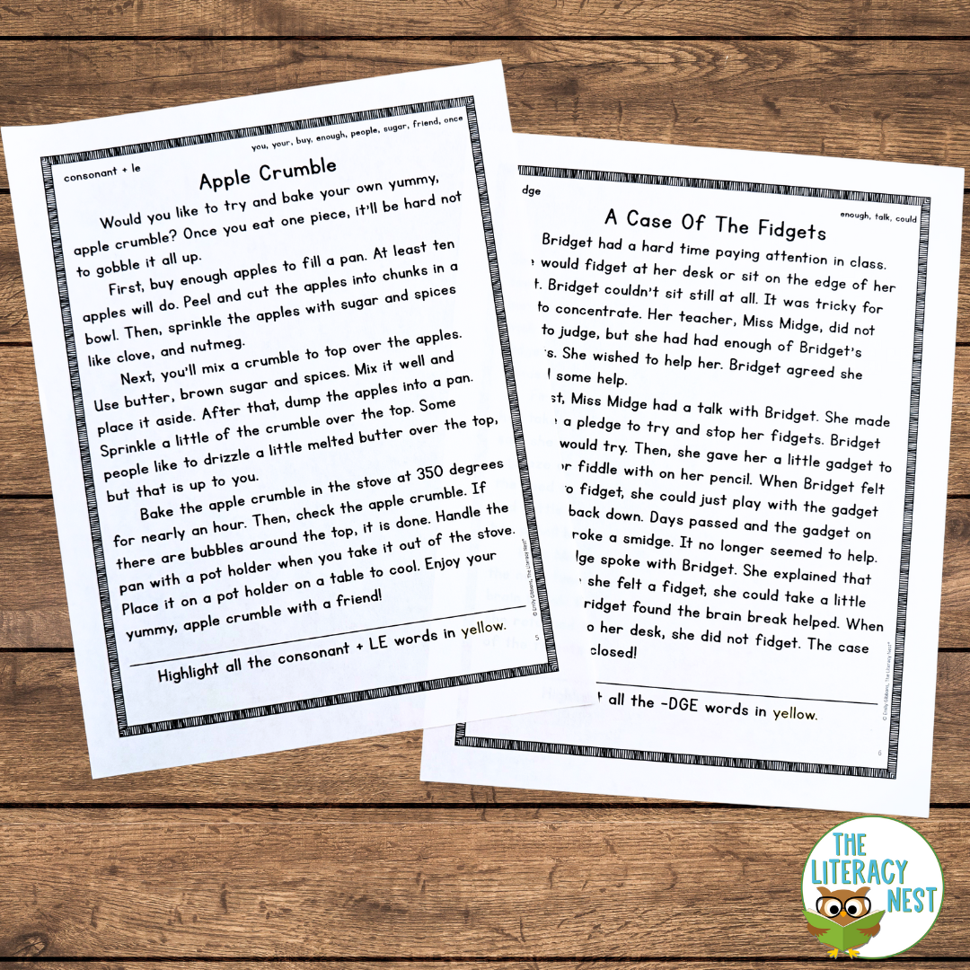 Decodable Passages for Orton-Gillingham Lessons BUNDLE - Image 4
