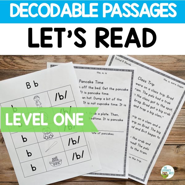 These Orton-Gillingham Decodable Passages Level 1 Stories support your students with a systematic, sequential progression.