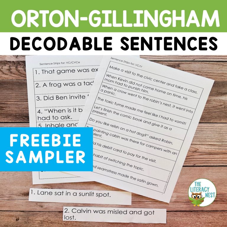FREE Decodable Sentences for Syllable Division