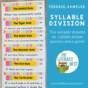 Enjoy this free Syllable Division Multisensory Practice bundle! It includes five syllable division types posters and a fun syllable division types game!