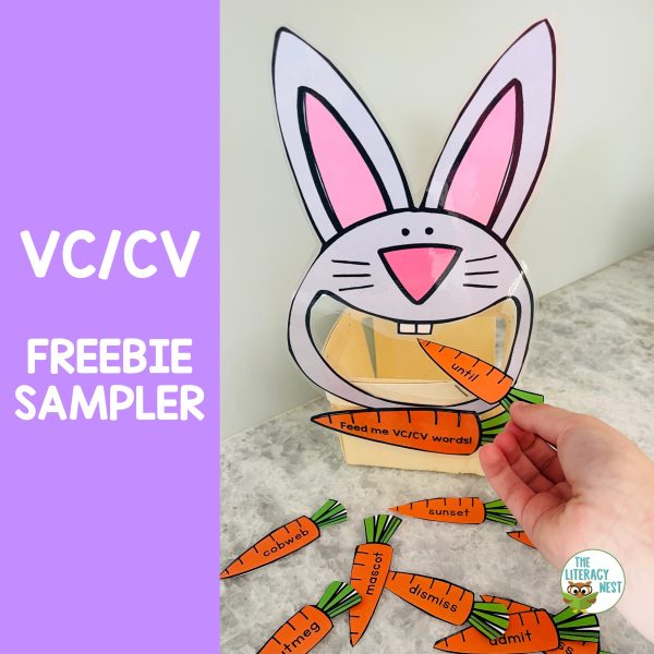 This is the featured image for the VCCV words spring FREEBIE!