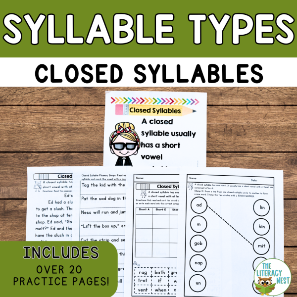 Closed Syllable Activities for Small Group Reading w Orton Gillingham Strategies