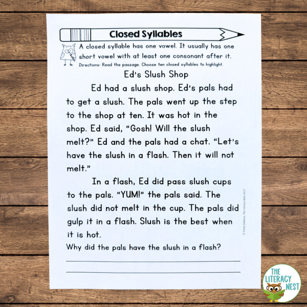 Closed Syllable Activities for Small Group Reading w Orton Gillingham Strategies - Image 3