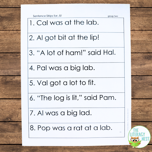 Orton-Gillingham Decodable Sentences Level One - Image 4