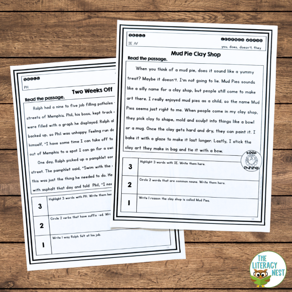 Closed Syllable Activities for Small Group Reading w Orton Gillingham Strategies - Image 4