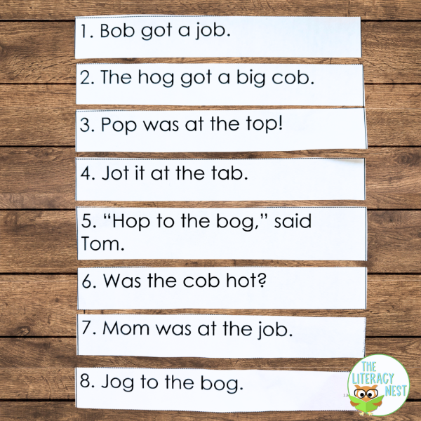 Orton-Gillingham Decodable Sentences Level One - Image 3