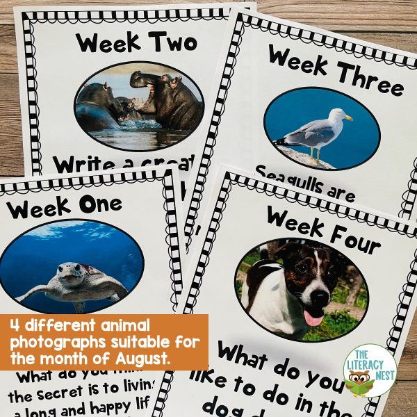 This image features sample pages from the Literacy Centers: August product.