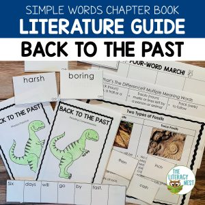 This is a featured image for the Back To The Past Literature Guide.
