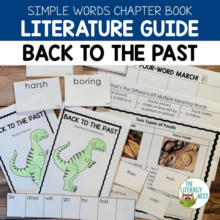 Back To The Past Literature Guide: Simple Words Chapter Book | Virtual Learning