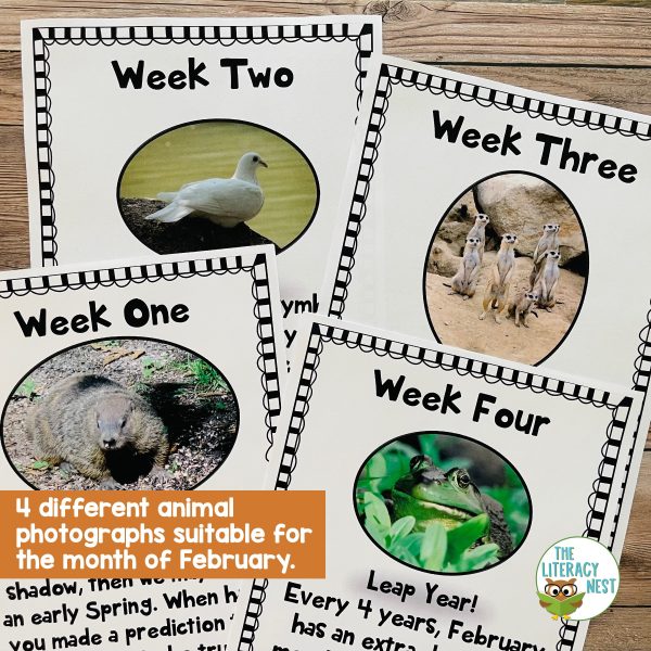 This image features sample pages from the Literacy Centers: February product.