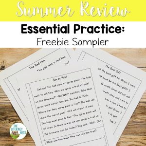 This image features sample pages from the Summer Review: Essential Summer Practice Freebie Sampler.