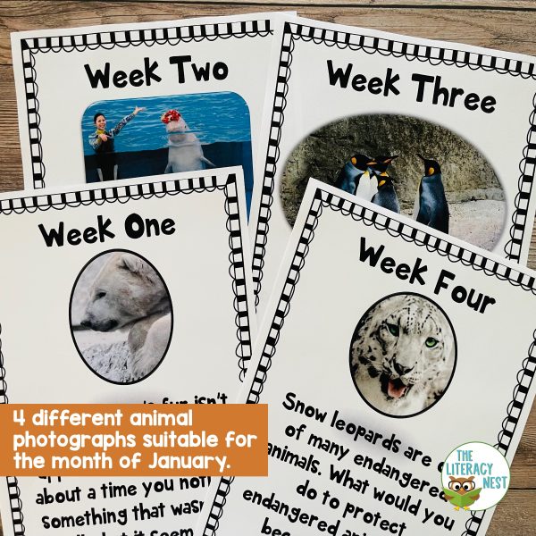 This image features sample pages from the Literacy Centers: January product.
