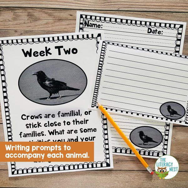 This image features a sample page from the Animal Picture Prompts for Creative Writing for October product.
