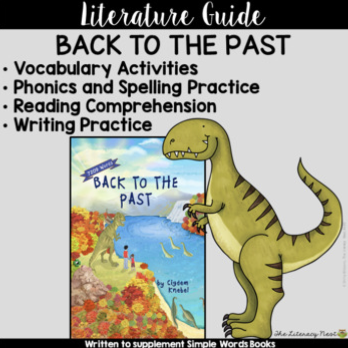 Back To The Past Literature Guide: Simple Words Chapter Book | Virtual Learning