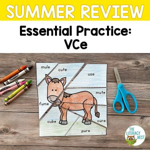 This is the featured image for the summer review: VCe product.
