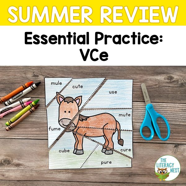 This is the featured image for the summer review: VCe product.