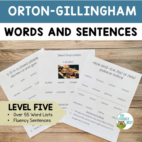 Featured image for the Orton Gillingham Lessons Level 5 product