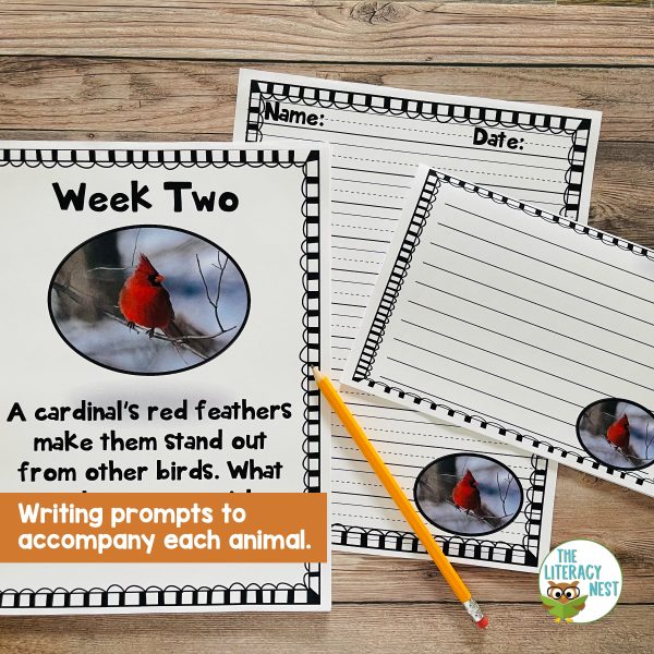 This image features sample pages from the Writing in the Wild narrative writing prompts bundle.