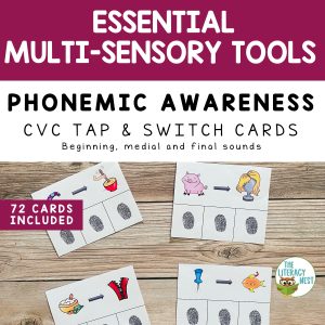 This is a featured image for the Phonemic Awareness Multisensory Cards.