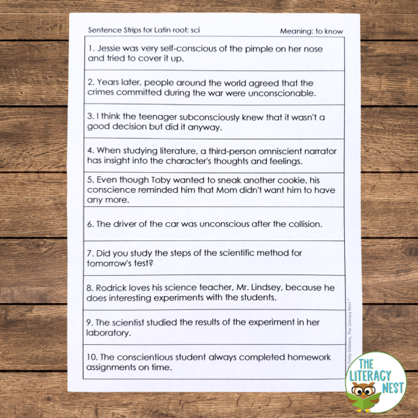 Morphology Sentences for Prefixes, Suffixes, Roots, Greek Forms - Image 3