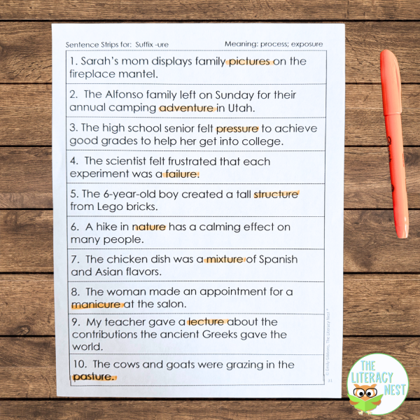 Morphology Sentences for Prefixes, Suffixes, Roots, Greek Forms - Image 2