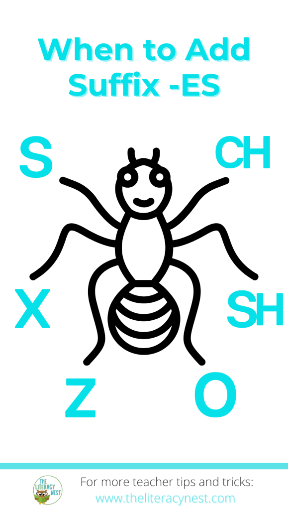 A bug visual to help teach when to add suffix -es.