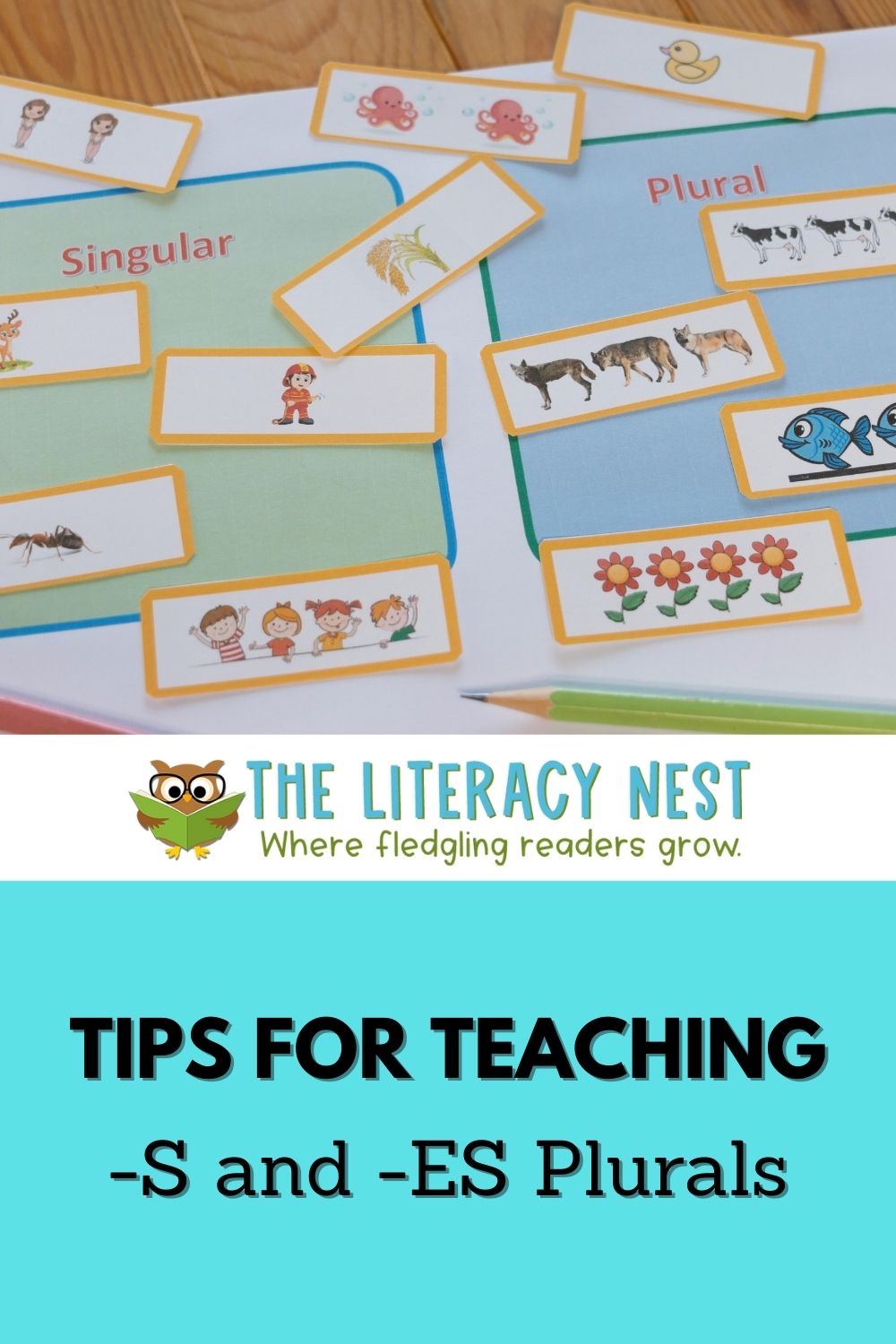 Tips for Teaching S and ES Plurals The Literacy Nest