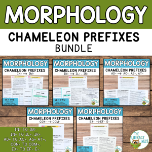 Chameleon Prefixes Bundle |Assimilated Prefixes Morphology Activities