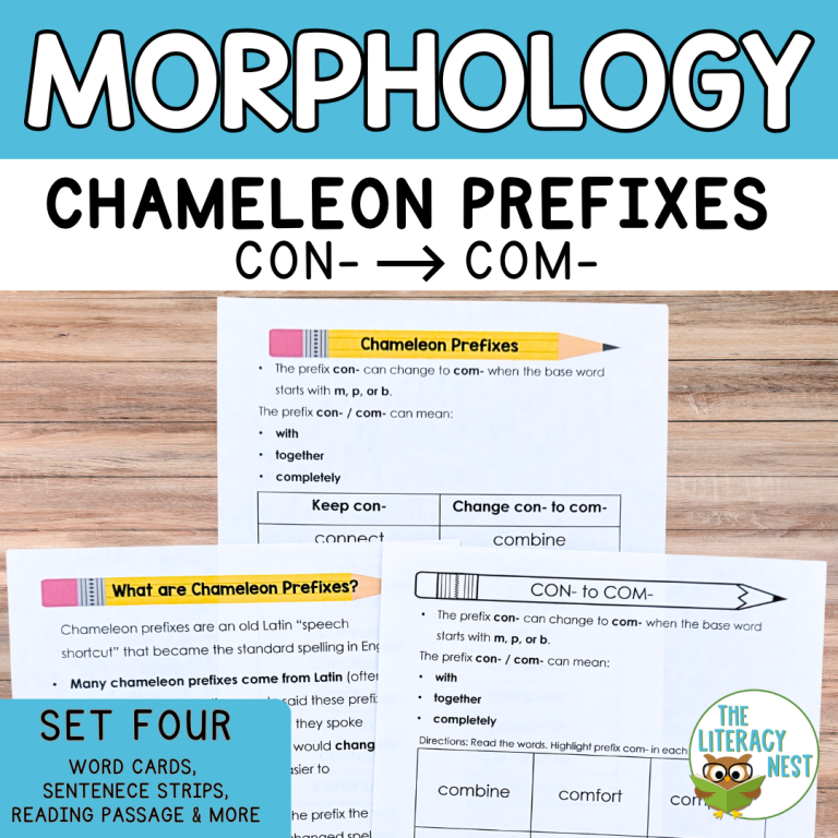 Chameleon Prefixes: Assimilated Prefixes CON- to COM- Spelling Activities