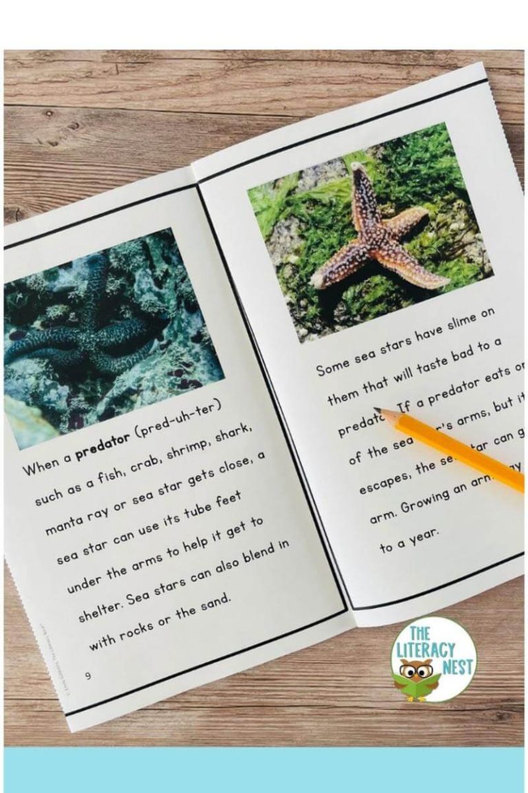 The Literacy Nest Shop